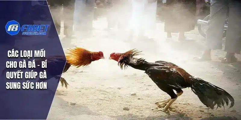 Các Loại Mồi Cho Gà Đá