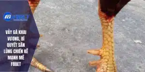 Vảy gà Khai Vương